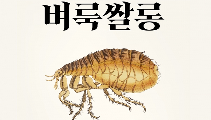 벼룩쌀롱 공지